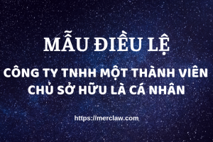 Điều lệ công ty TNHH 1 thành viên_Cá nhân